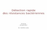 Détection rapide des résistances bactériennes - gilar.org · Pourquoi être plus rapide ? Collectif : Repérer les patients colonisés à BMR Individuel : Adapter le plus rapidement