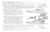 Přehled GMH – biologie Kmen: Měkkýši (Mollusca) · Celkové schéma anatomie m ěkkýše Třída: Plži (Gastropoda) typi čtí m ěkkýši se všemi vyvinutými částmi t