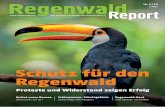 Schutz für den Regenwald Report... · C 3661 Nr. 1 / 19  Das Magazin von Rettet den Regenwald e.V. Rettet unser Borneo Aktivisten vor Ort Regenwald-Kauf Hier können Sie helfen