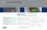 Chip Scale Packages - Fraunhofer IMS · der CSP-Prozess Dieses CSP lässt sich auch auf andere Mikrosysteme übertragen. Die gesamte Herstellung auf 200mm Wafern erfolgt dabei am