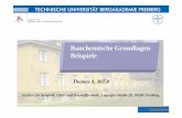 Bauchemische Grundlagen Beispiele - tu-freiberg.detu-freiberg.de/sites/default/files/media/professur-fuer-baustofftechnik-8017/... · Thomas A. BIER Institut für Keramik, Glas- und