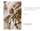 Einführung von Agilität im Unternehmensarstedt/AKOT/Introduce_Agility.pdf · Januar 2009 © Setzwein IT-Management GmbH Agile Softwareentwicklung Annahme: Die Zukunft ist komplex