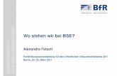 Wo stehen wir bei BSE? - mobil.bfr.bund.de · A. Fetsch, BSE - Status Quo, ÖGD FoBi 2011, Berlin, 23.-25. März 2011 Seite 2 Gliederung Hintergrundinformationen zur BSE BSE-Krise