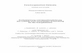 Konkretisierung und Operationalisierung des Leitbilds ...digbib.ubka.uni-karlsruhe.de/volltexte/fzk/6578/6578.pdf · curity, comprehensive economic efficiency (i. e. including external