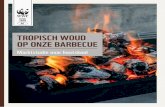 TROPISCH WOUD OP ONZE BARBECUE - wwf.be · xiii WWF (2016) Analysis of potential European Union Timber Regulation product scope changes. xiv Forest Stewardship Council. Wij vonden