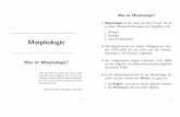 3. Sprachwissenschaft Morphologie · Morphologie Was ist Morphologie? \Man soll ofter das untersuchen, was von den Menschen meist vergessen wird, wo sie nicht hinsehen und was so