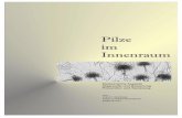 Pilze - Schimmelentfernung - Hausschwamm Sanierunggoldgruber.eu/0uploads/dateien13.pdf · Symposium Pilze im Innenraum W. Buzina Raiffeisenhof, 2006 Schimmelpilze – Biologie und