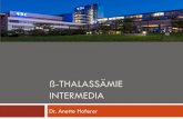 ß-THALASSÄMIE INTERMEDIA · SVT 12 (16,4%) Portalvenenthrombose 11 (15,1%) Schlaganfall 4 (5,5%) Taher et al, JTH 2010 Thrombotische Ereignisse sind Spätfolgen! Risikoerhöhung