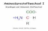 Grundlagen und Ammoniak-Stoffwechsel COO- +H3N H C Rpharmazie.heimat.eu/downloads/5semester/biochemie/aminosaeuren1.pdf · Das zur Bildung von Alanin benötigte Pyruvat stammt aus