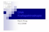 Kevin Krug 15.2 - theorie.physik.uni-konstanz.detheorie.physik.uni-konstanz.de/lsfuchs/lectures/seminar0708/k_krug... · Intro /Motivation DNA ist in 46 linearen Molekülen (Chromosomen)