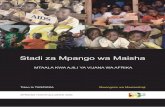 Stadi za Mpango wa Maisha - hivhealthclearinghouse.unesco.org · Watetezi wa Elimu ya Mpango wa Maisha kwa Vijana: Programu ya Maendeleo kwa Vijana (Watetezi wa Vijana: 1995) nayo