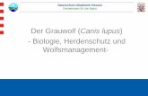 Der Grauwolf (Canis lupus · NAH Naturschutz-Akademie Hessen Gemeinsam für die Natur •Der Grauwolf (Canis lupus) •- Biologie, Herdenschutz und Wolfsmanagement-