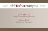 JSF-Hacks · Herbstcampus 2008 – F14 – JSF-Hacks 2 Agenda •Tipps und Tricks • Allgemeines • Konfiguration • Navigation • Komponenten und Attribute • Validator und