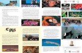 semmit a kéznek mindent a szemnek - WWF Magyarországwwf.hu/media/file/1184836177_Mindent_a_szemnek.pdf · A hagyományos kínai gyógyászat készít-ményei gyakran tartalmaznak