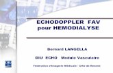 ECHODOPPLER FAV pour HEMODIALYSEnaxos.biomedicale.univ-paris5.fr/diue/wp-content/uploads/2013/05/diuem... · Police . Thrombose veineuse complète juxta anastomotique Thrombose a