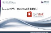 『ここまできた！OpenStack最新動向』 - macnica.net · OpenStack Containerチームによって開発され、今年3月末に正 式な OpenStack プロジェクトとして承認された。