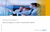 Neuerungen in SAP S/4HANA 1809 - innovabee.de · Auflösung von Rechnungszahlsperren vorschlagen.....242 SAP Fieldglass – Rechnungsintegration in Finance.....243