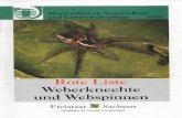 Rote Liste Weberknechte Webspinnen - umwelt.sachsen.de · Rote Liste Weberknechte und Webspinnen . Freistaat ~Sachsen . Landesamtlür Umwelt und Geologie , ' )'Ji . I, '