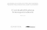Contabilitatea întreprinderii - Noutăți | Cartier.mdshop.cartier.md/files/pdf/1485262601.pdf · 7 3 Contabilitatea numerarului în conturile curente în monedă naţională 301