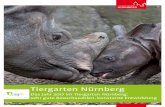 Tiergarten Nürnberg · Liebe Tiergartenbesucherin, lieber Besucher, ein Landschaftszoo ist sicher für das Auge aber auch zur Erholung etwas Besonderes. Fakt ist aber
