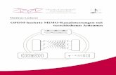 OFDM-basierte MIMO-Kanalmessungen mit verschiedenen …edoc.sub.uni-hamburg.de/hsu/volltexte/2010/2664/pdf/2010_lieberei.pdf · OFDM-basierte MIMO-Kanalmessungen mit verschiedenen