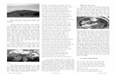 Ðứng trên núi thấy hàng đèn thị trấn Bún bò nhà xácmembers.iinet.net.au/~nguyentam/Pho Nui Pleiku 9.pdf · Sao phố lại đuổi đi người yểu điệu Vườn