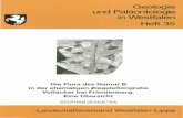 Geologie und Paläontologie in Westfalen - lwl.org · Hinweise für Autoren In der Schriftenreihe Geologie und Paläontologie in Westfalen werden geowissenschaftliche Beiträge veröffent