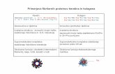 Primerjava fibrilarnih proteinov keratina in kolagenaibk.mf.uni-lj.si/teaching/biokemija1/predavanja/predavanje30.pdf · Strukturna funkcija: citoskelet (intermediarni filamenti),