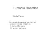 Tumorile Hepatice - seria7.weebly.com · Tumorile Hepatice Horia Pantu Din punct de vedere evolutiv si prognostic se impart in: I. tumori Benigne II. tumori Maligne.