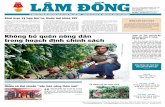 Không bỏ quên nông dân trong hoạch định chính sáchbaolamdong.vn/upload/others/201710/26092_Bao_Lam_Dong_ngay_24_10_2017.… · phần quan trọng thực hiện thắng