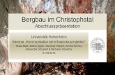 Bergbau im Christophstal - komm.uni-hohenheim.de · Bergbau im Christophstal Abschlusspräsentation Universität Hohenheim Seminar „Kommunikation bei Infrastrukturprojekten“ Tessa