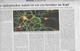 +wie+ein... · ndheit VdK — Ihr Sozialverband in Deutschland n epileptischer Anfall ist wie ein Gewitter im Kopf 2ssor Martin Holtkamp erläutert die Anzeichen der neurologischen