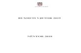 BUXHETI VJETOR 2019 - bashkiakorce.gov.albashkiakorce.gov.al/files4users/files/Buxheti 2019(1).pdf · Korça sot, falë këtyre investimeve të rëndësishme të bashkisë, nuk krenohet