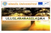 ULUSLARARASILAŞMA - eski.bingol.edu.treski.bingol.edu.tr/ab_ofisi/dokumanlar/Erasmus Bilgilendirme.pdf · Detaylı bilgi için web sayfamıza bakabilirsiniz. Erasmus Hibesinin öğrencilerin