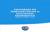 Program de imbunatatire a eficientei energetice - Orasul ... · Electrotehnica sau de Institutul European de Standardizare în Telecomunicatii și pus la dispoziția publicului standard