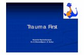 Trauma First - Startseite der PKNDS · Ausgangspunkt Eine Reihe spektakulärer Fälle von Kindesvernachlässigung und Kindesmisshandlung haben in den letzten Jahren die Öffentlichkeit