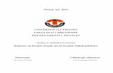 UNIVERSITETI I TIRANËS FAKULTETI I DREJTËSISË …doktoratura.unitir.edu.al/.../2013/06/...i-Drejtesise-Departamenti-i-te-Drejtes-Penale.pdf · drejta penale ndërkombëtare me