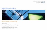 Hydrozephalus! - Startseite ASBHasbh.de/download/archiv/Hydrozephalus Modelle der Entstehung Hans Ludwig.pdf · ASBHTagung Göngen13.04.2013©UMG! Hydrozephalus! ModellederEntstehung!