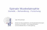 Spinale Muskelatrophie - muskelstiftung.de · Voraussetzung für die Erkrankung ist eine homozygote Deletion des SMN1-Gens.