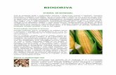 BIOGORIVA - arso.gov.si spremembe/poročila in publikacije... · BIOGORIVA ETANOL IN BIODIZEL Svet je preplavila ideja o nadomestitvi bencina z biogorivom (etanol in biodizel), 'domačim