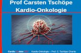 Prof Carsten Tschöpe Kardio-Onkologie Onkologie 2017.pdf · Cardio Update 2017 Kardio-Onkologie –Prof. C. Tschöpe Charite Klinische Risikofaktoren für Kardiotoxizität Zamorano