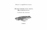 Dan Cogălniceanu - Ecoportalecoportal.ro/dan_cogalniceanu/file_download/67/Amfibienii_din_Romania... · Fiind vertebrate poichiloterme metabolismul lor bazal este de aproximativ