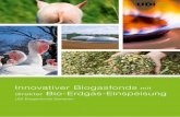 Innovativer Biogasfonds mit direkter Bio-Erdgas-Einspeisung · 5 Vorwort Sehr geehrte Anlegerin, sehr geehrter Anleger, als die Weltwirtschaft in die Krise geriet, standen Sachwerte
