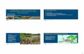 Amphibien: Artenschutz und Biotopverbundsysteme in den ... · Aber PKN (Projectgruppe Knoblauchkröte Niederlanden) 4 Kammolch  ...