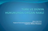 Dilek OKUTUR Başkent Üniversitesi İstanbul Sağlık ... EKİM... · Dünya Sağlık Örgütüde insan hücre, doku ve organlarının nakil ilkeleri ve organ kaçakçılığı ve