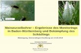 Maiswurzelbohrer Ergebnisse des Monitorings in Baden ... Imgraben... · Maiswurzelbohrer – Ergebnisse des Monitorings in Baden-Württemberg und Bekämpfung des Schädlings Maistagung,