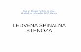 Ledvena spinalna stenoza - ortopedrecnik.si · Doc. dr. Gregor Rečnik, dr. med., Oddelek za ortopedijo, UKC Maribor LEDVENA SPINALNA STENOZA