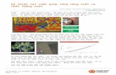 Kỹ thuật tại vườn giúp tăng năng suất và chất lượng xoài  · Web viewF750 – ‘Máy đo chất lượng trái’, để đánh giá hàm lượng chất khô