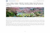 Tour du lịch Mộc Châu: Happy Land - Rừng thông filevăn hóa đặc sắc của đồng bào dân tộc Thái trắng tại Hòa Bình, thăm các cơ sở sản xuất đồ