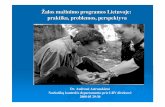 Žalos ma žinimo programos Lietuvoje: praktika, problemos ... · psichologin ę, medicinos pagalb ą, b ūtųvykdoma su narkomanija susijusi ų infekcini ų lig ų plitimo prevencija,